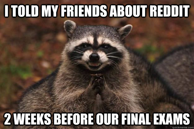 i told my friends about reddit 2 weeks before our final exams - i told my friends about reddit 2 weeks before our final exams  Evil Plotting Raccoon