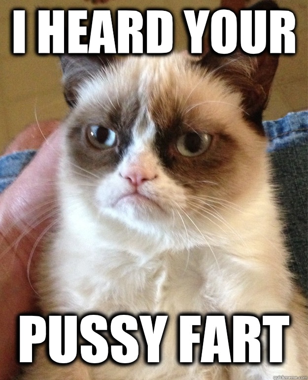 I heard your  Pussy fart  Grumpy Cat