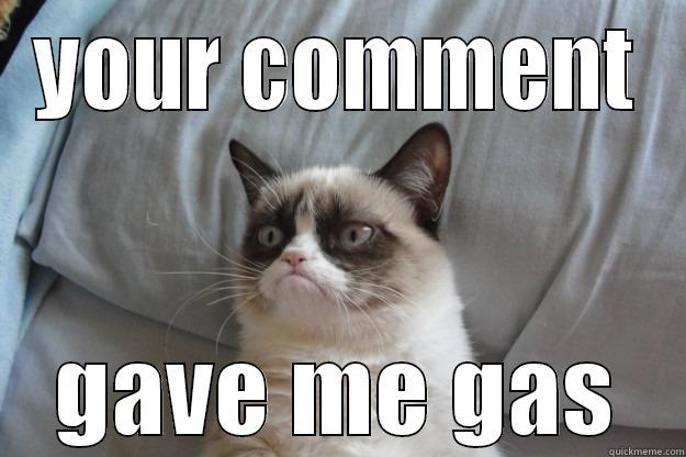 Commenting on comments - YOUR COMMENT GAVE ME GAS Grumpy Cat