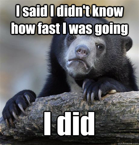 I said I didn't know how fast I was going I did - I said I didn't know how fast I was going I did  Confession Bear