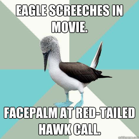 Eagle screeches in movie. Facepalm at red-tailed hawk call. - Eagle screeches in movie. Facepalm at red-tailed hawk call.  Birdwatching Booby