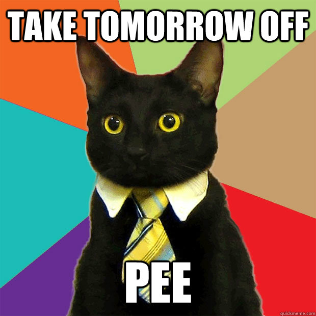 TAKE TOMORROW OFF PEE  Business Cat