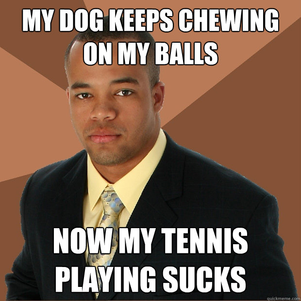 My dog keeps chewing on my balls Now my tennis playing sucks  Successful Black Man