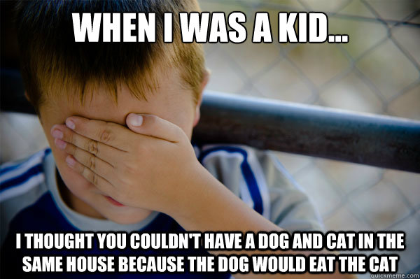 When I was a kid... I thought you couldn't have a dog and cat in the same house because the dog would eat the cat  Confession kid