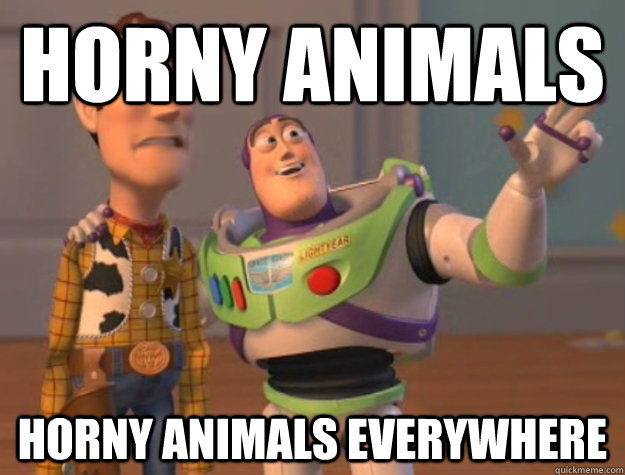 horny animals Horny animals everywhere  Buzz Lightyear