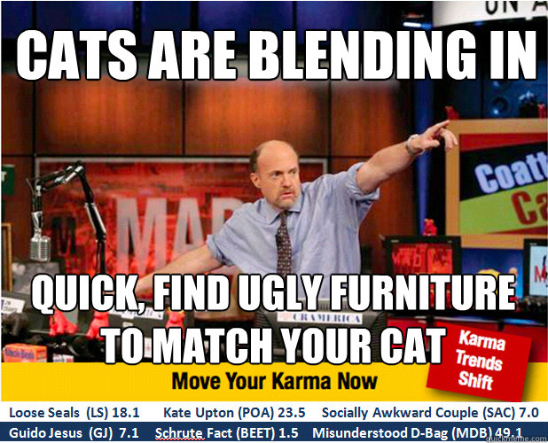 Cats are blending in Quick, find ugly furniture to match your cat  Jim Kramer with updated ticker