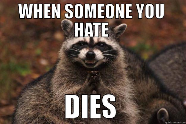 WHEN SOMEONE YOU HATE DIES Evil Plotting Raccoon