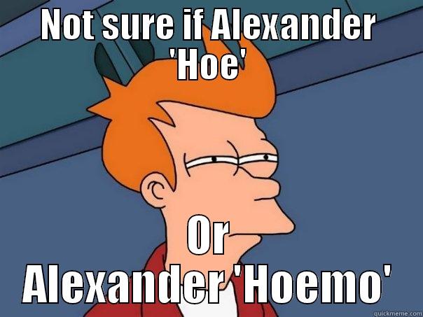 NOT SURE IF ALEXANDER 'HOE' OR ALEXANDER 'HOEMO' Futurama Fry