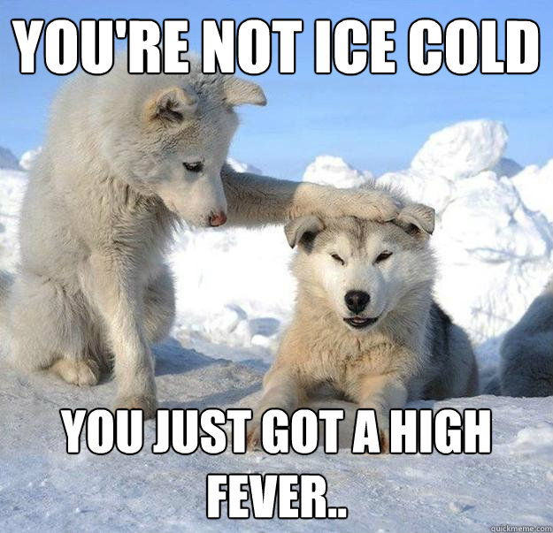 you're not ice cold
 you just got a high fever..  Caring Husky