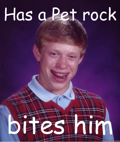 Has a Pet rock bites him  Bad Luck Brian