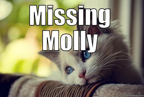 MISSING MOLLY  First World Problems Cat