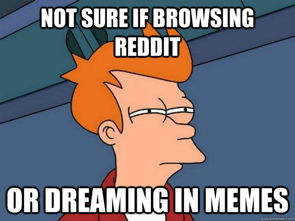 Not sure if browsing reddit or dreaming in memes  Futurama Fry