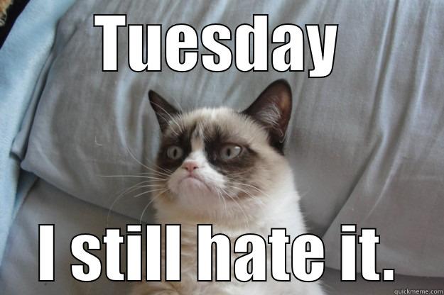 TUESDAY I STILL HATE IT. Grumpy Cat