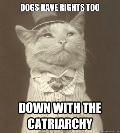 Dogs have rights too  down with the catriarchy  Aristocat