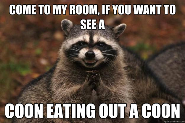 come to my room, if you want to see a coon eating out a coon  Evil Plotting Raccoon