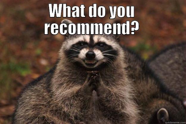 WHAT DO YOU RECOMMEND?  Evil Plotting Raccoon