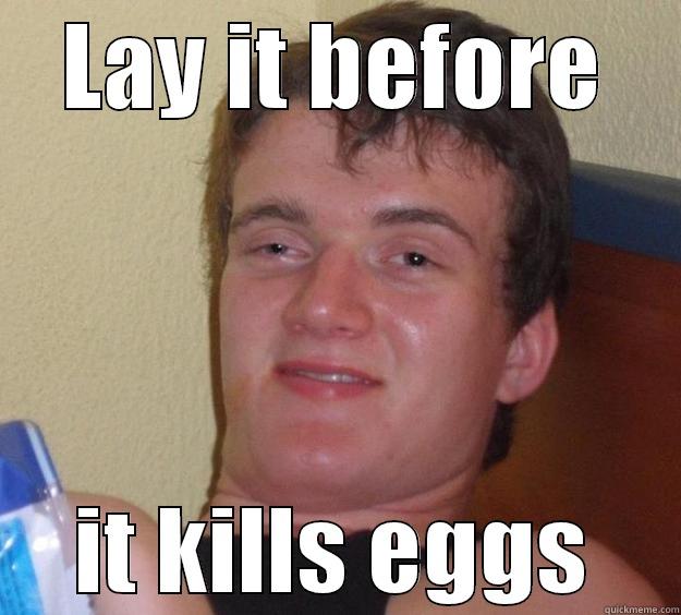 LAY IT BEFORE IT KILLS EGGS 10 Guy