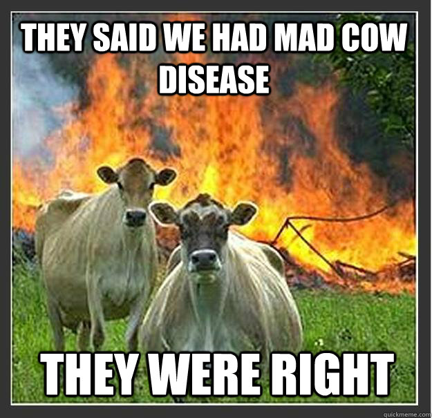 They said we had mad cow disease they were right  Evil cows