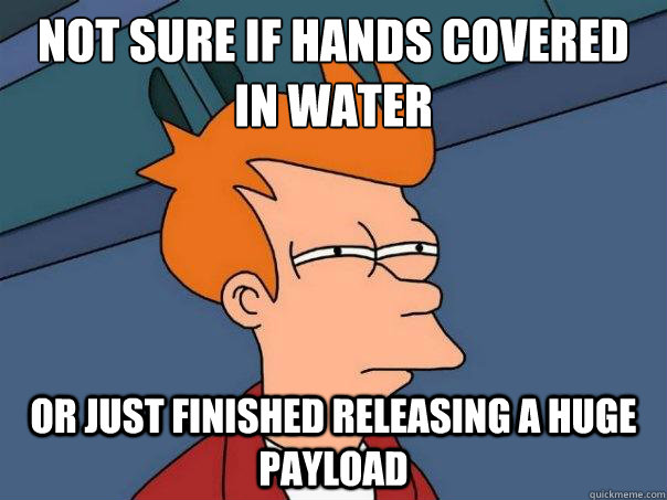 NOT SURE IF HANDS COVERED IN WATER OR JUST FINISHED RELEASING A HUGE PAYLOAD - NOT SURE IF HANDS COVERED IN WATER OR JUST FINISHED RELEASING A HUGE PAYLOAD  Futurama Fry