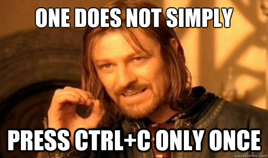 One Does Not Simply Press ctrl+C only once - One Does Not Simply Press ctrl+C only once  Boromir