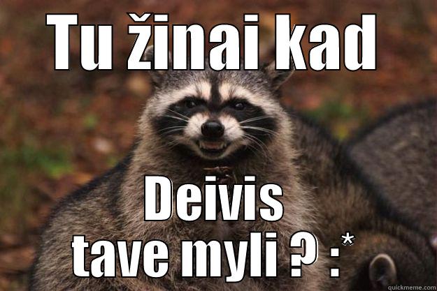 TU ŽINAI KAD DEIVIS TAVE MYLI ? :* Evil Plotting Raccoon