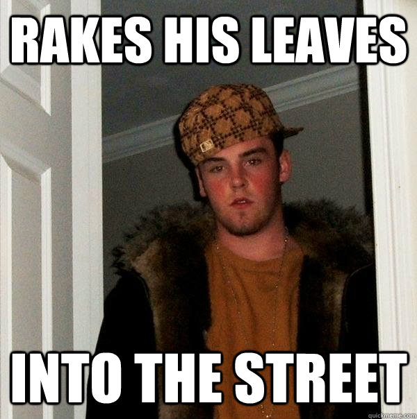 Rakes his leaves into the street - Rakes his leaves into the street  Scumbag Steve