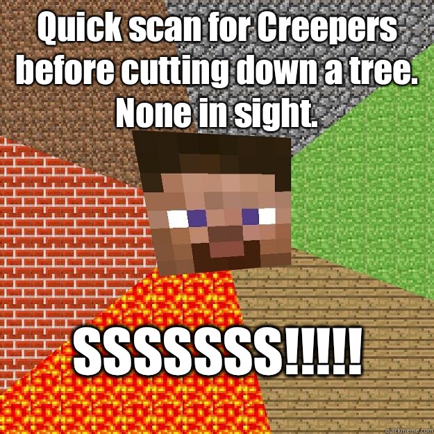 Quick scan for Creepers before cutting down a tree. None in sight.  SSSSSSS!!!!!  Minecraft