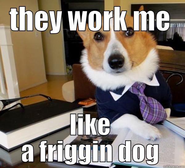 arf arf - THEY WORK ME LIKE A FRIGGIN DOG Lawyer Dog