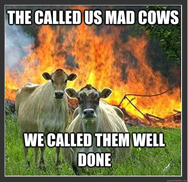 the called us mad cows we called them well done   Evil cows