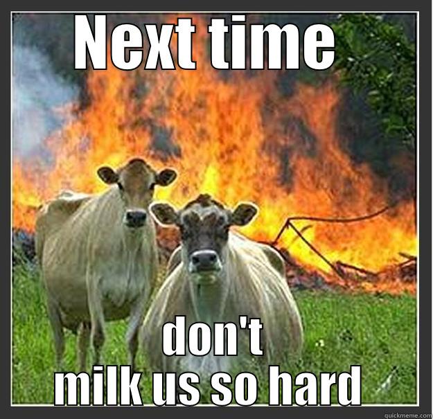 Mads cows  - NEXT TIME  DON'T MILK US SO HARD  Evil cows