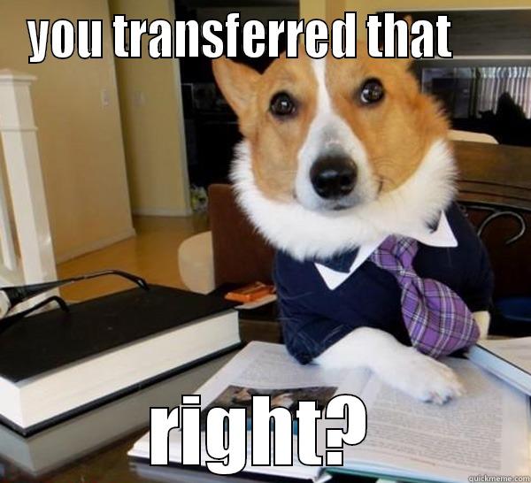 YOU TRANSFERRED THAT      RIGHT? Lawyer Dog