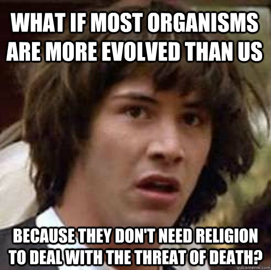 What if most organisms are more evolved than us because they don't need religion to deal with the threat of death?  conspiracy keanu