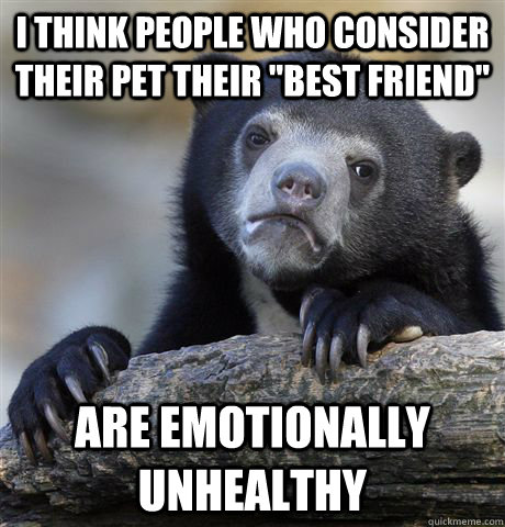 I think people who consider their pet their 