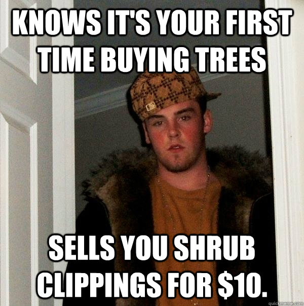 Knows it's your first time buying trees Sells you shrub clippings for $10. - Knows it's your first time buying trees Sells you shrub clippings for $10.  Scumbag Steve