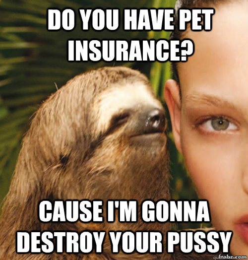 Do you have pet insurance? Cause I'm gonna destroy your pussy  rape sloth