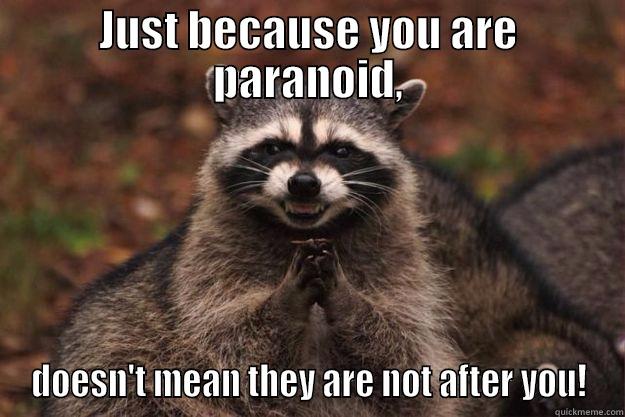 JUST BECAUSE YOU ARE PARANOID, DOESN'T MEAN THEY ARE NOT AFTER YOU! Evil Plotting Raccoon