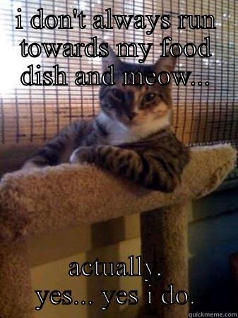 I DON'T ALWAYS RUN TOWARDS MY FOOD DISH AND MEOW... ACTUALLY, YES... YES I DO. The Most Interesting Cat in the World