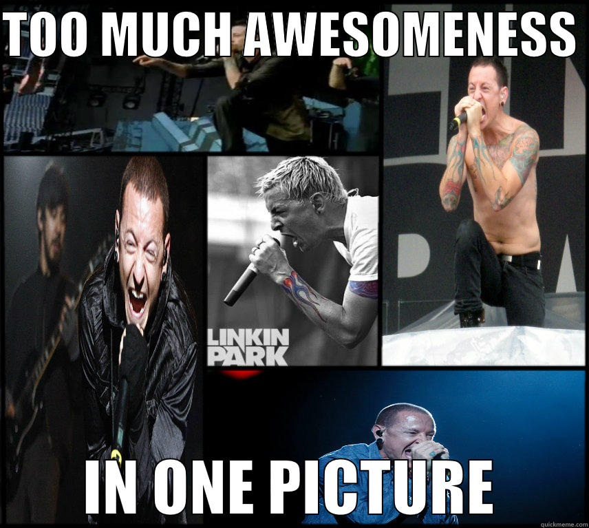 Chester bennington - TOO MUCH AWESOMENESS  IN ONE PICTURE Misc