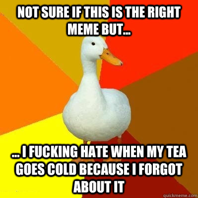 not sure if this is the right meme but... ... I fucking hate when my tea goes cold because i forgot about it  Tech Impaired Duck