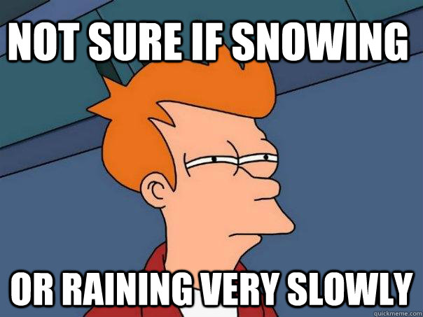 Not sure if snowing Or raining very slowly - Not sure if snowing Or raining very slowly  Futurama Fry