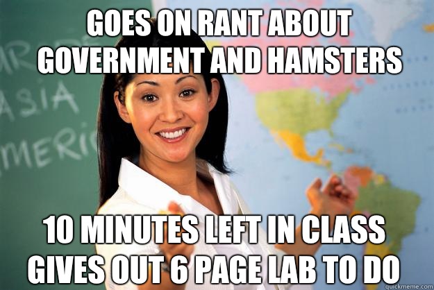 Goes on rant about government and hamsters 10 minutes left in class gives out 6 page lab to do  Unhelpful High School Teacher