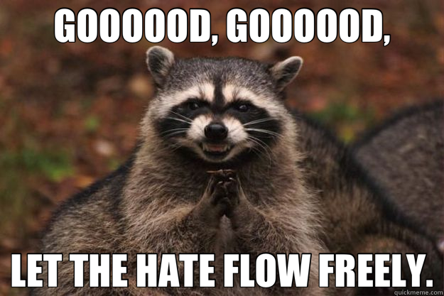 GOOOOOD, GOOOOOD, LET THE HATE FLOW FREELY. - GOOOOOD, GOOOOOD, LET THE HATE FLOW FREELY.  Evil Plotting Raccoon