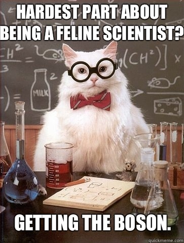 Hardest part about being a feline scientist? Getting the boson.  - Hardest part about being a feline scientist? Getting the boson.   Chemistry Cat