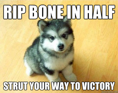 Rip bone in half Strut your way to victory  Baby Courage Wolf