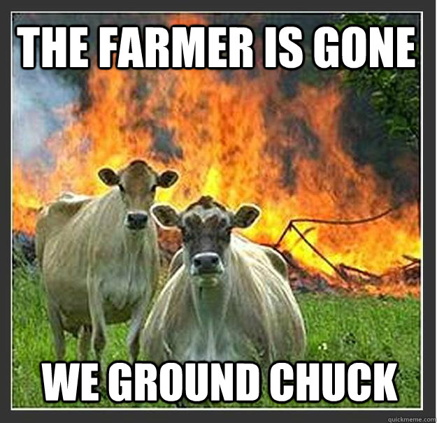 The Farmer is gone We ground chuck  Evil cows