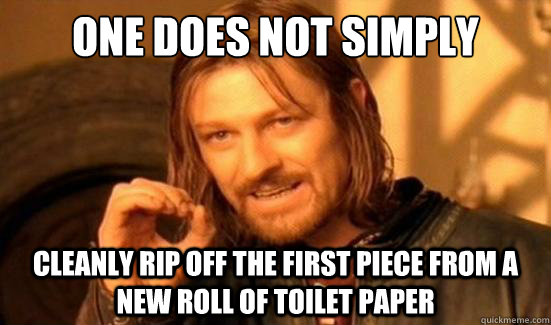 One Does Not Simply cleanly rip off the first piece from a new roll of toilet paper  Boromir