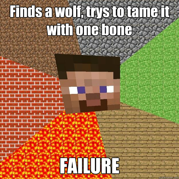 Finds a wolf, trys to tame it with one bone FAILURE  Minecraft