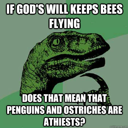 If God's will keeps bees flying Does that mean that penguins and ostriches are athiests?  Philosoraptor