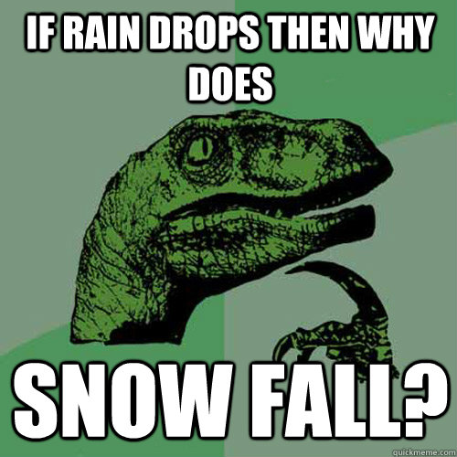 If rain drops then why does snow fall?
  Philosoraptor