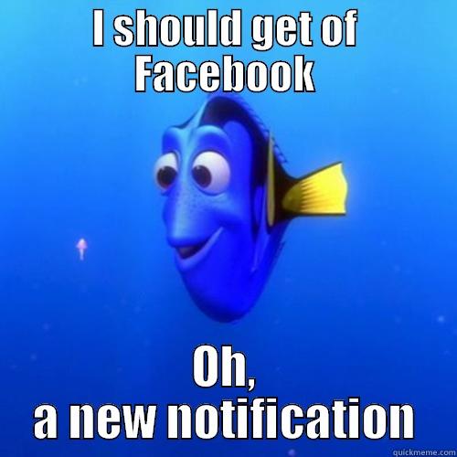 I SHOULD GET OF FACEBOOK OH, A NEW NOTIFICATION dory